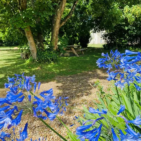 Chateau De Salvert - 4 - 32 Personnes *