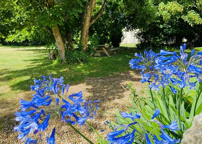 Chateau De Salvert - *